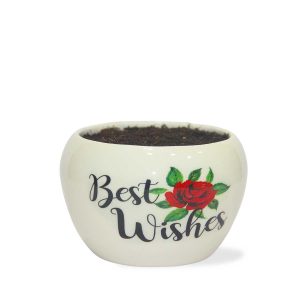 Best Wishes Plant Pot