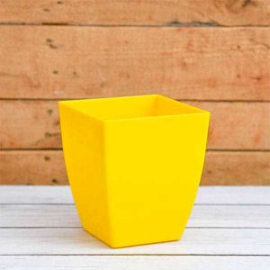 Square Pot - Yellow