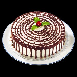 Chocolate Excellency Cake