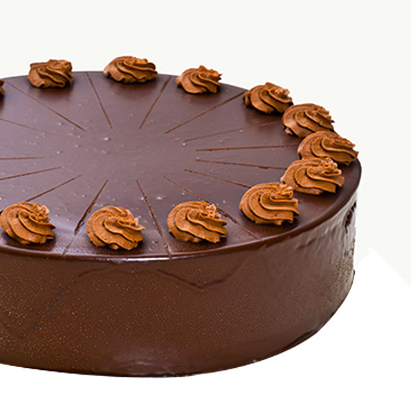 Chocolate Bliss Cake