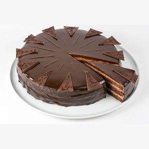 Rich Chocolate Splash Cake