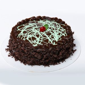 Chocolate Delectable Cake