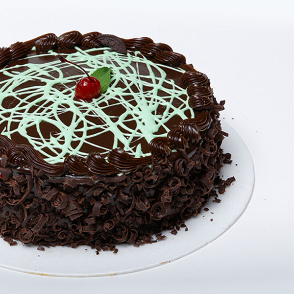 Chocolate Delectable Cake