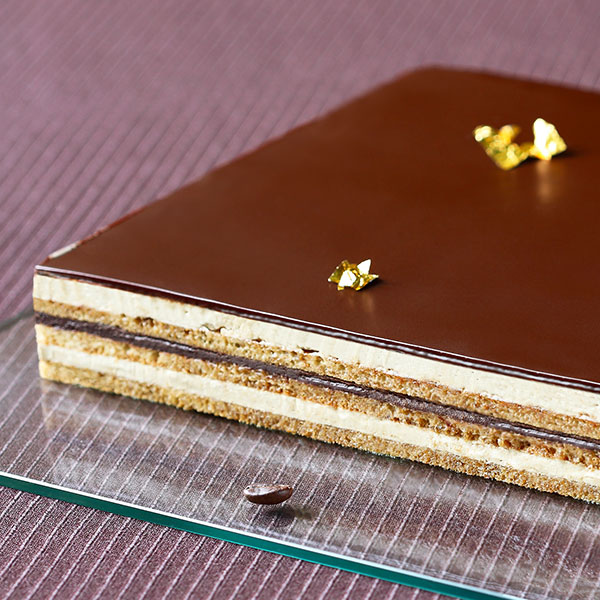 Plain Chocolate Opera Cake